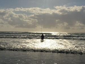 Oceans are the lifeblood of Earth