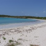 Vieques El paraiso that conquered man's development wrath (1)