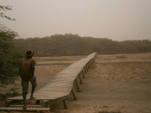 Senegal Parc National