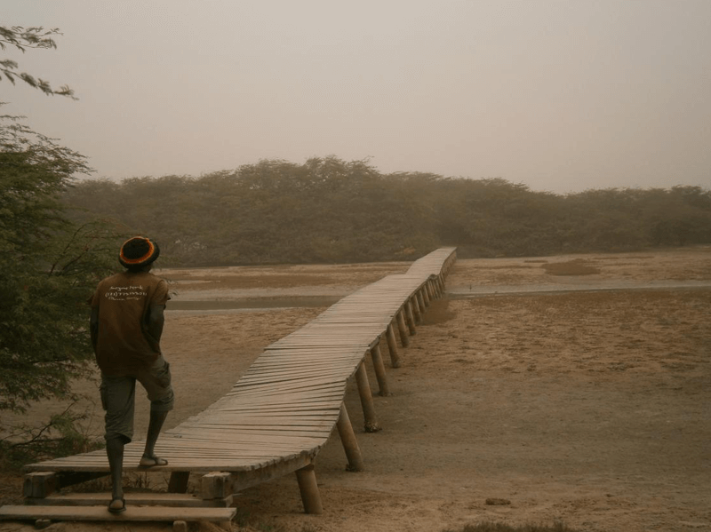 Senegal Parc National