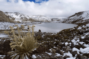 Playa, nieve y selva Parques nacionales de Venezuela,