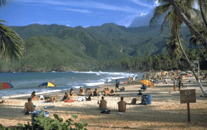 Playa, nieve y selva Parques nacionales de Venezuela.