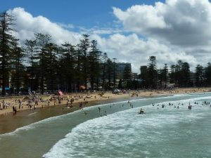 Sidney Beach oasis awaits among the city chaos
