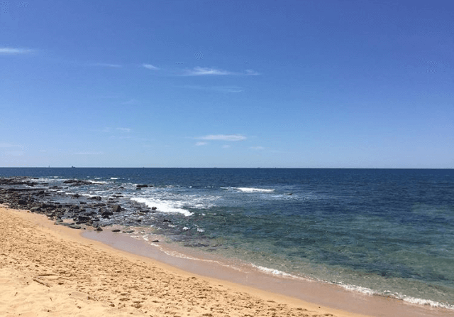 A photo blog of Shelly Beach