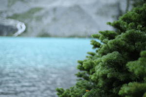 Joffre lake, three times the charm photo blog.